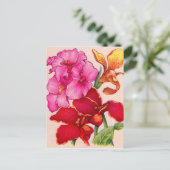 Carte Postale fleurs de canna (Debout devant)