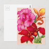 Carte Postale fleurs de canna (Devant / Derrière)