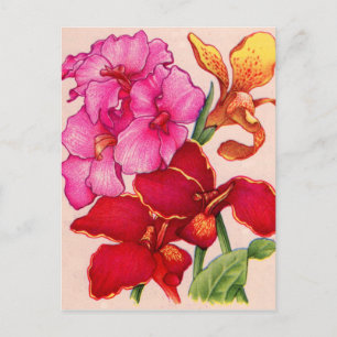 Carte Postale fleurs de canna
