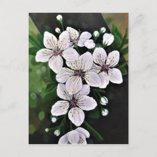 Carte Postale Fleurs De Cerise Blanche Art En Acrylique
