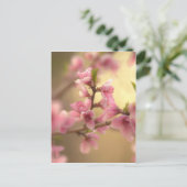 Carte Postale Fleurs de cerisier (Debout devant)