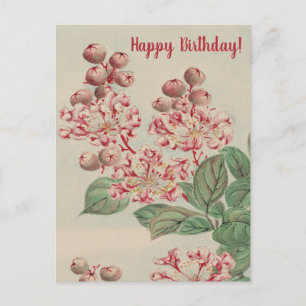 Carte Postale Fleurs de cerisier d'art fin japonais vintage pour