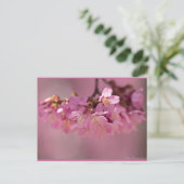 Carte Postale Fleurs de cerisier Source thermale Vêtements & Ca (Debout devant)