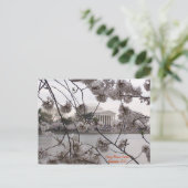 Carte Postale Fleurs de cerisier sur le bassin de marée (Debout devant)