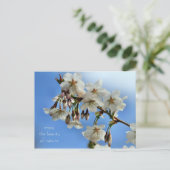 Carte Postale Fleurs de cerisiers (Debout devant)