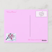 Carte Postale Fleurs de cerisiers - A (Dos)