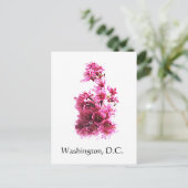 Carte Postale Fleurs de cerisiers à Washington, D.C. (Debout devant)