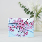 Carte Postale Fleurs de cerisiers - B (Debout devant)