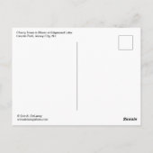 Carte Postale Fleurs de cerisiers dans Lincoln Park (Dos)