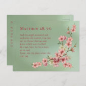 Carte Postale Fleurs de cerisiers en rose et Turquoise (Devant / Derrière)