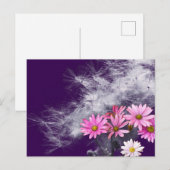 Carte postale Fleurs de chardon et graines (Devant / Derrière)