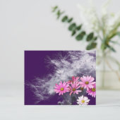 Carte postale Fleurs de chardon et graines (Debout devant)