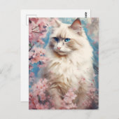 Carte Postale Fleurs de chats Birman (Devant / Derrière)