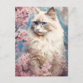 Carte Postale Fleurs de chats Birman (Devant)
