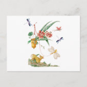 Carte Postale Fleurs de chiens et libellules (Devant)