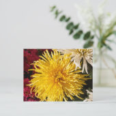 Carte Postale Fleurs de chrysanthème jaune (Debout devant)