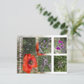 Carte Postale fleurs de chypre (Debout devant)