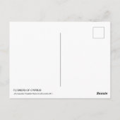 Carte Postale fleurs de chypre (Dos)