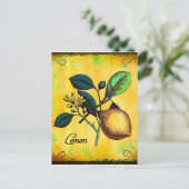Carte Postale Fleurs de citron Feuille Vintage Botanique (Debout devant)