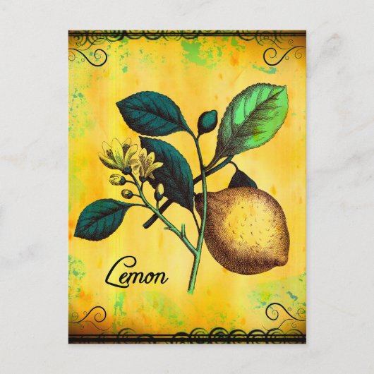 Carte Postale Fleurs de citron Feuille Vintage Botanique (Devant)