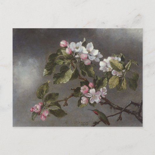 Carte Postale Fleurs de colibri et de pomme Martin J. Heade (Devant)