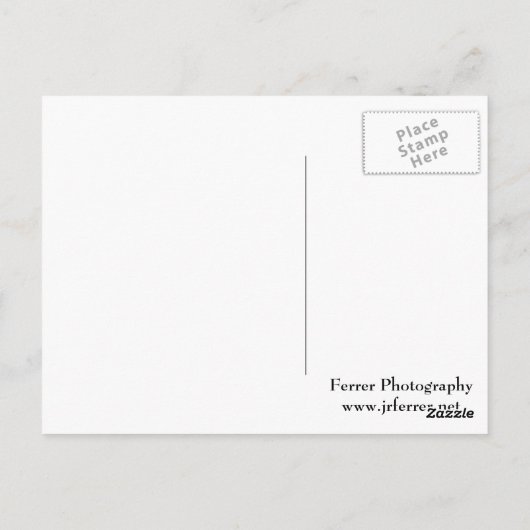 Carte Postale Fleurs de colonne (Dos)