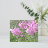 Carte postale Fleurs de colonne rose (Debout devant)