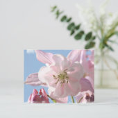 Carte postale Fleurs de colonne rose (Debout devant)