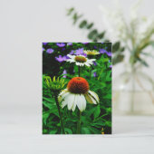 Carte Postale Fleurs de cônes blanches et orange (Debout devant)