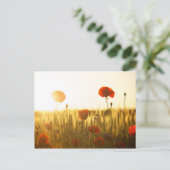 Carte Postale Fleurs de coquelicot au soleil (Debout devant)