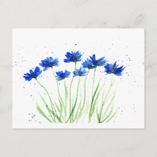 Carte Postale Fleurs de Cornoufleurs (Devant)