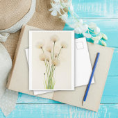 Carte Postale Fleurs de coton