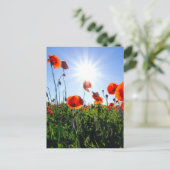 Carte Postale Fleurs de crapets rouges sauvages (Debout devant)