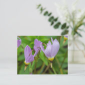 Carte Postale Fleurs de Crocus Nudiflorus Violettes (Debout devant)