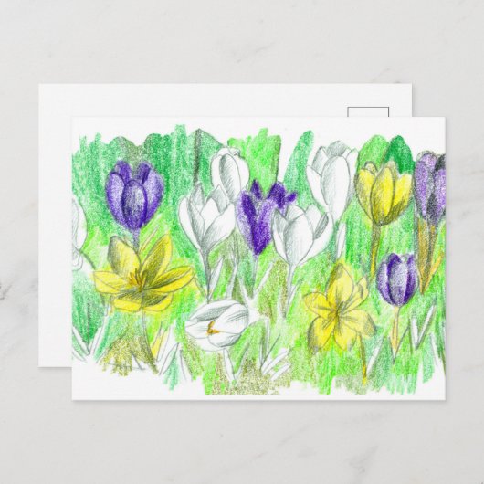 Carte Postale Fleurs de Crocus pourpres Forêt Plancher Art print (Devant / Derrière)