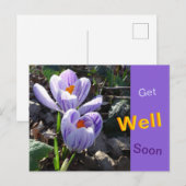 Carte postale fleurs de crocus rétablissez-vous vi (Devant / Derrière)