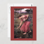 Carte Postale Fleurs de cueillette Narcissus dans le pré (Devant / Derrière)