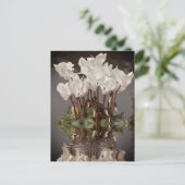 Carte Postale Fleurs de cyclamen blanc dans l'eau (Debout devant)