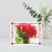 Carte Postale Fleurs de cyclamen rouge (Debout devant)