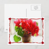 Carte Postale Fleurs de cyclamen rouge (Devant / Derrière)