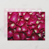 Carte Postale Fleurs de delphinium (Devant / Derrière)