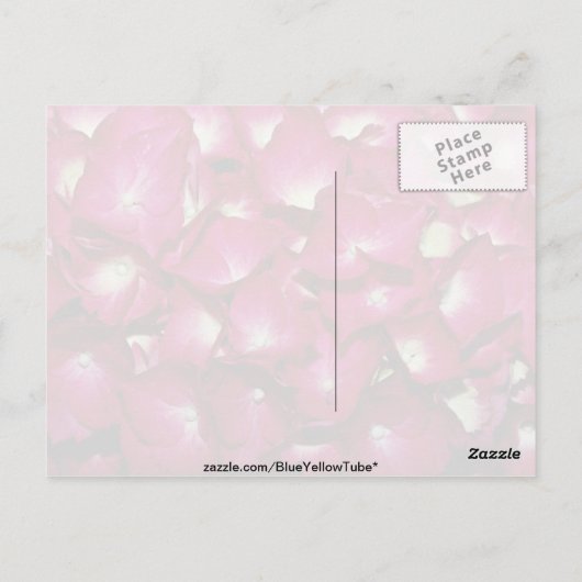 Carte Postale Fleurs de delphinium (Dos)