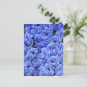 Carte Postale Fleurs de delphinium bleu (Debout devant)
