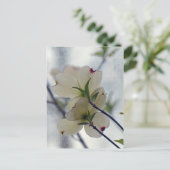 Carte Postale Fleurs de Dogwood (Debout devant)