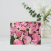 Carte Postale Fleurs de Dogwood (Debout devant)