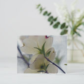 Carte Postale Fleurs de Dogwood (Debout devant)