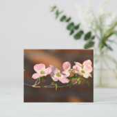 Carte Postale Fleurs de Dogwood Rose (Debout devant)
