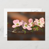 Carte Postale Fleurs de Dogwood Rose (Devant / Derrière)