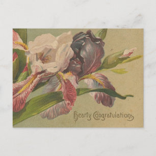 Carte Postale Fleurs de félicitations généreuses