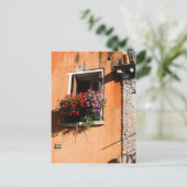 Carte Postale Fleurs de fenêtre (Debout devant)